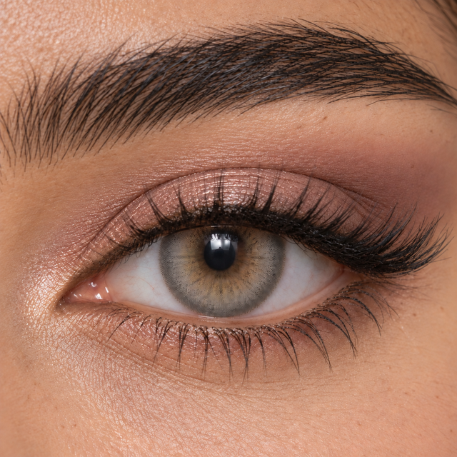 Molly Gray Colored Contact Lenses